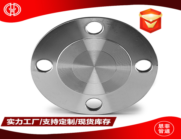 Precision Forged Blind Flange — Total Isolation, Absolute Security